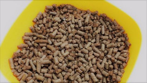 Après des mois de hausse, les prix des tourteaux et des céréales semblent s'orientent à la baisse. (©Terre-net Média) Après des mois de hausse, les prix des tourteaux et des céréales semblent s'orientent à la baisse. (©Terre-net Média)