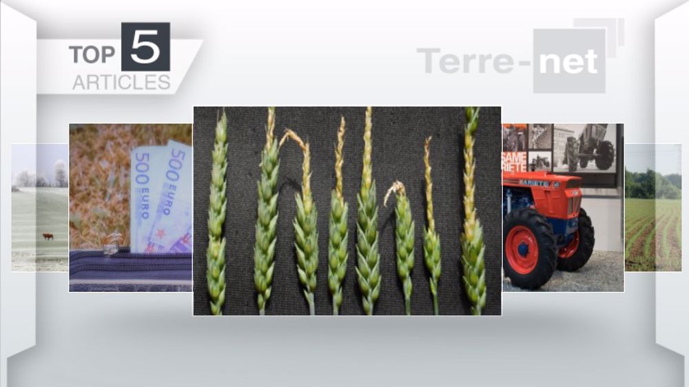 Articles les plus lus sur Terre-net cette semaine. (©Terre-net Média)
