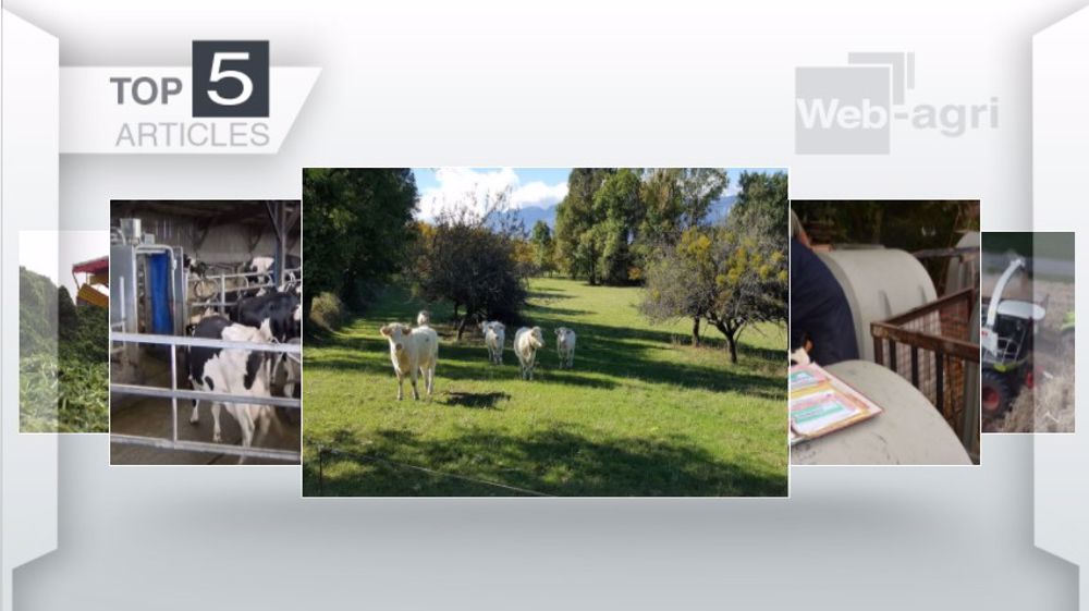 Articles les plus lus sur Web-agri cette semaine. (©Terre-net Média) Articles les plus lus sur Web-agri cette semaine. (©Terre-net Média)