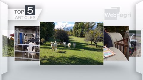 Articles les plus lus sur Web-agri cette semaine. (©Terre-net Média) Articles les plus lus sur Web-agri cette semaine. (©Terre-net Média)