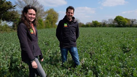 Franck Renolleau, polyculteur-éleveur et co-président du Grapea, et Tiphaine Terres, animatrice du Grapea, dans une parcelle de féverole et blé associés. (©Nathalie Tiers)<br />