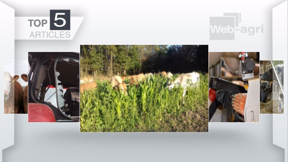 Articles les plus lus sur Terre-net cette semaine. (©Terre-net Média) Articles les plus lus sur Terre-net cette semaine. (©Terre-net Média)