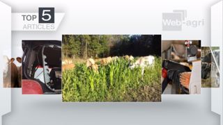 Articles les plus lus sur Terre-net cette semaine. (©Terre-net Média) Articles les plus lus sur Terre-net cette semaine. (©Terre-net Média)