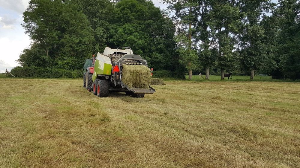 Débrayer des prairies pour les récolter en foin, ensilage ou enrubannage, assure un certain stock tout en préparant la repousse suivante. (©Terre-net Média)
