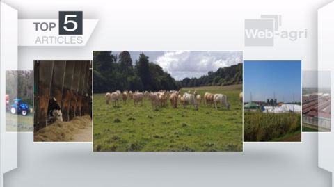 Articles les plus lus sur Web-agri cette semaine. (©Terre-net Média) Articles les plus lus sur Web-agri cette semaine. (©Terre-net Média)