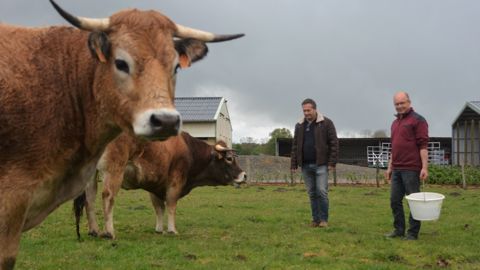 Laurent Brouard (Sarthe) fait partie du groupe d'agriculteurs qui tentent de mutualiser leur assolement. Ils sont accompagnés par Olivier Subileau du Gab 72. (©Terre-net Média) Laurent Brouard (Sarthe) fait partie du groupe d'agriculteurs qui tentent de mutualiser leur assolement. Ils sont accompagnés par Olivier Subileau du Gab 72. (©Terre-net Média)