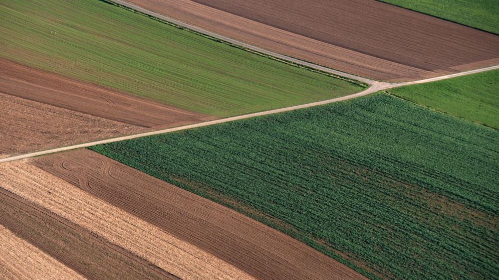 Une coalition européenne pour décarboner le système alimentaire européen. (©Herbert Bieser de Pixabay)