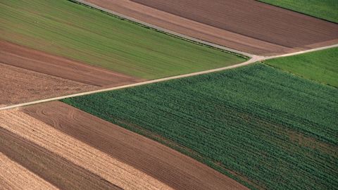Une coalition européenne pour décarboner le système alimentaire européen. (©Herbert Bieser de Pixabay) Une coalition européenne pour décarboner le système alimentaire européen. (©Herbert Bieser de Pixabay)