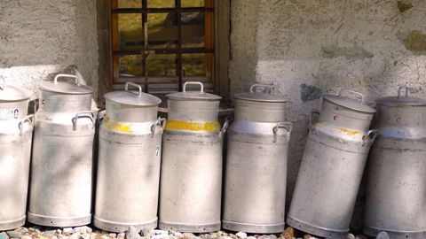 Un prix du lait plus élevé pour 2021 ? (©Terre-net Média) Un prix du lait plus élevé pour 2021 ? (©Terre-net Média)