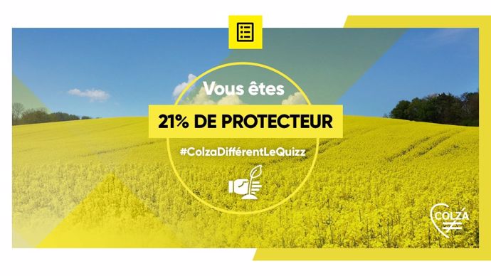 Profil protecteur