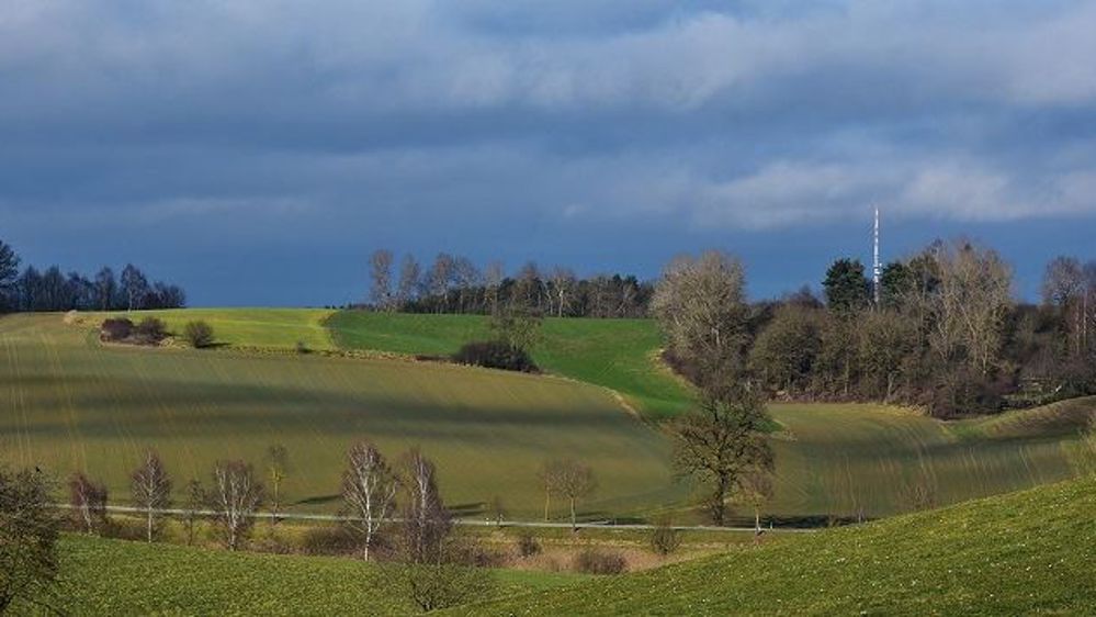 Julien Denormandie compte proposer une aide de 70 euros par hectare et par an aux producteurs bio, selon la Fnab. (©Pixabay)