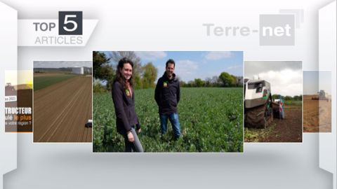 Articles les plus lus sur Terre-net cette semaine. (©Terre-net Média) Articles les plus lus sur Terre-net cette semaine. (©Terre-net Média)
