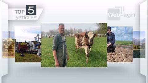 Articles les plus lus sur Web-agri cette semaine. (©Terre-net Média) Articles les plus lus sur Web-agri cette semaine. (©Terre-net Média)