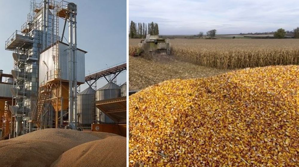 L'UE a réduit de 1 Mt ses prévisions de stocks de report 2019/21. En maïs, les USA ont déjà vendu 10,7 Mt à la Chine. (©Terre-net Média)
