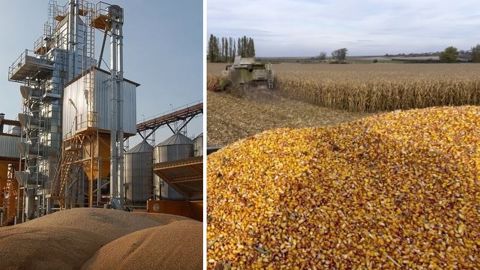 L'UE a réduit de 1 Mt ses prévisions de stocks de report 2019/21. En maïs, les USA ont déjà vendu 10,7 Mt à la Chine. (©Terre-net Média)