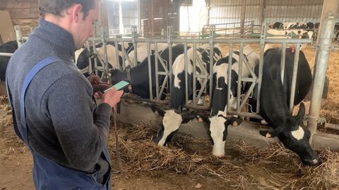 Tenter de diminuer son coût alimentaire sans faire baisser le litrage, améliorer son produit viande... en élevage laitier, il existe plusieurs leviers à actionner pour améliorer la marge brute. (©Terre-net Média) Tenter de diminuer son coût alimentaire sans faire baisser le litrage, améliorer son produit viande... en élevage laitier, il existe plusieurs leviers à actionner pour améliorer la marge brute. (©Terre-net Média)