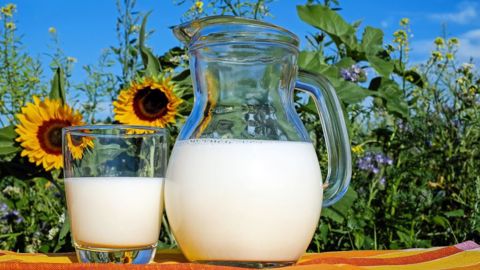 Le confinement a boosté les volumes de lait de consommation vendus en 2020. (©Pixabay) Le confinement a boosté les volumes de lait de consommation vendus en 2020. (©Pixabay)