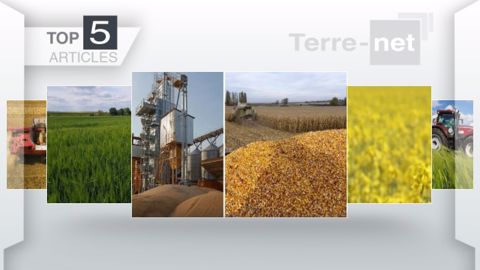Articles les plus lus sur Terre-net cette semaine. (©Terre-net Média)