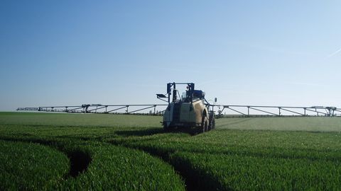De Sangosse a annoncé le lancement d'un nouveau fongicide de biocontrôle en 2022, contre la septoriose du blé et le mildiou de la pomme de terre. (©Terre-net Média)