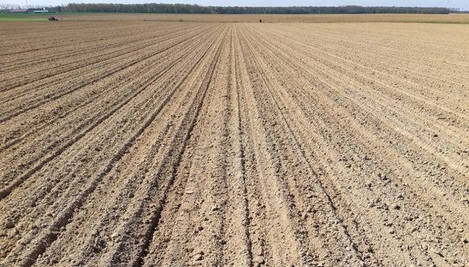 Le traitement de semences contribue à la réussite de l’implantation