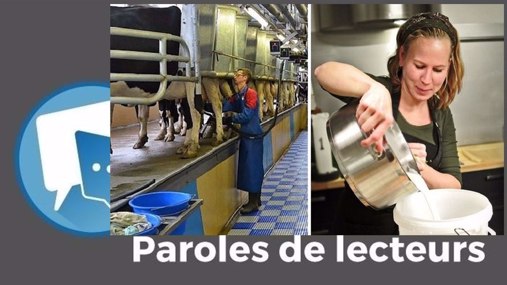  « L'industrie laitière ne veut pas payer plus cher les producteurs : elle a fait un choix qu'elle devra assumer », pointe Anti-système. (©Terre-net Média, Pixabay // Création Terre-net Média)