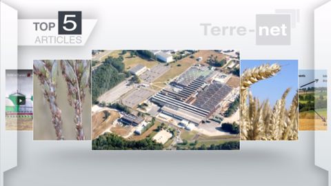 Articles les plus lus sur Terre-net cette semaine. (©Terre-net Média)