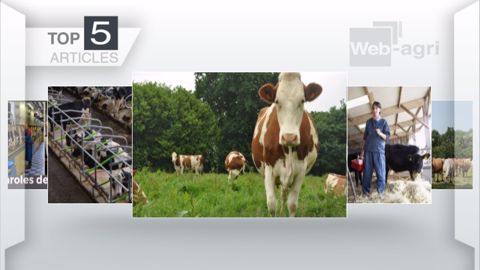 Articles les plus lus sur Web-agri cette semaine. (©Terre-net Média) Articles les plus lus sur Web-agri cette semaine. (©Terre-net Média)
