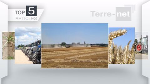 Articles les plus lus sur Terre-net cette semaine. (©Terre-net Média)