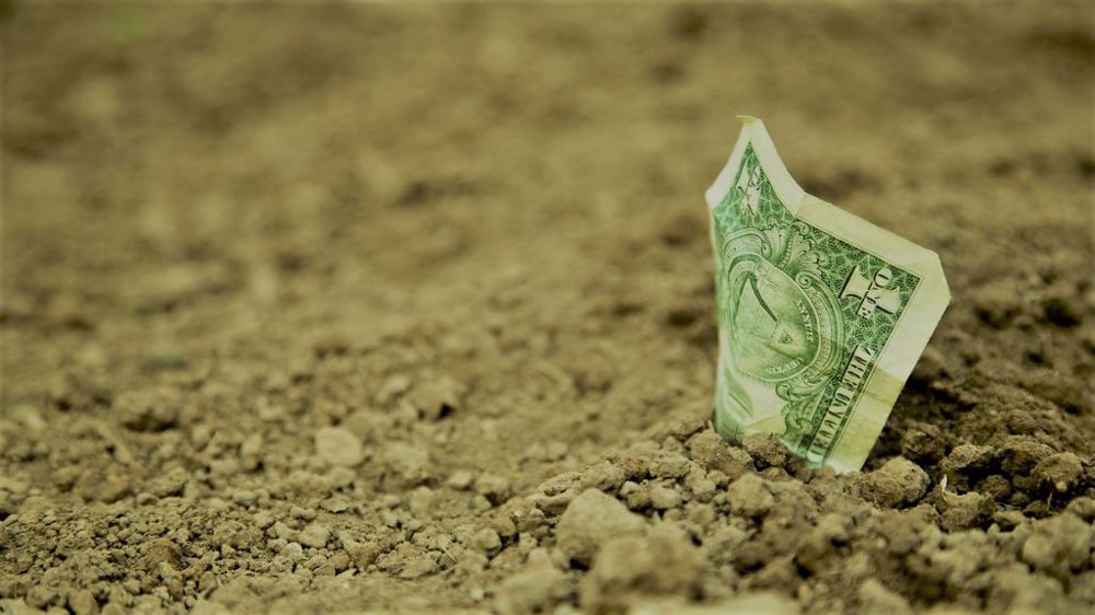 La moitié des soutiens publics à l'agriculture engendrent des distorsions sur les marchés et sont préjudiciables à la sécurité alimentaire, constate l'OCDE dans son dernier rapport. (©Pixabay)