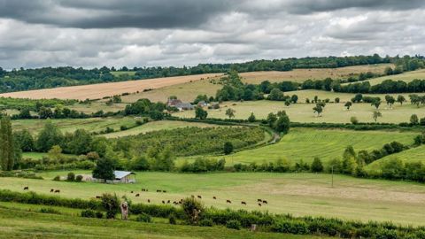 Le ministère de l'agriculture présente son « plan d'action climat » (©Pixabay) Le ministère de l'agriculture présente son « plan d'action climat » (©Pixabay)