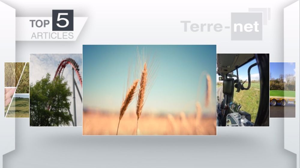 Articles les plus lus sur Terre-net cette semaine. (©Terre-net Média)