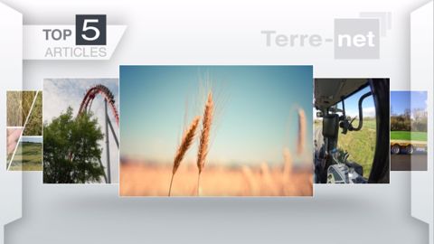 Articles les plus lus sur Terre-net cette semaine. (©Terre-net Média)