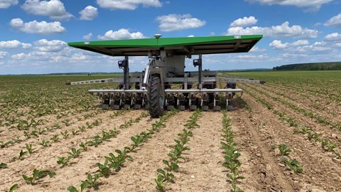 Le robot FarmDroïd utilise les signaux GPS RTK pour le semis et le binage, il ne dispose d'aucune caméra.  La corde rouge tout autour de l'appareil permet la détection d'obstacles. (©Raphaël Deneuville)