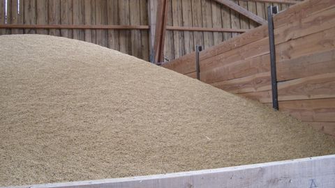 Les bénéfices du stockage à la ferme diffèrent en fonction de la maîtrise des prix de revient et de la connaissance des marchés. Mais aussi de la capacité à trouver ses acheteurs et ses filières. (©Terre-net Média) Les bénéfices du stockage à la ferme diffèrent en fonction de la maîtrise des prix de revient et de la connaissance des marchés. Mais aussi de la capacité à trouver ses acheteurs et ses filières. (©Terre-net Média)