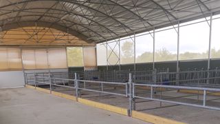 Comptez 1 500 à 2 000 €/place pour ce bâtiment tunnel à destination des génisses. (©Terre-net Média) Comptez 1 500 à 2 000 €/place pour ce bâtiment tunnel à destination des génisses. (©Terre-net Média)