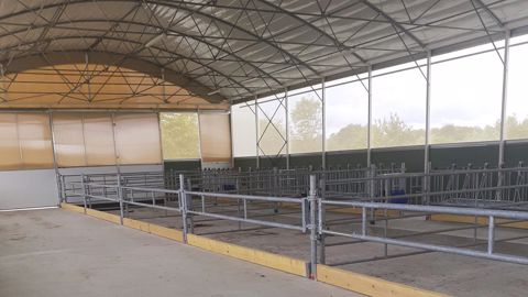 Comptez 1 500 à 2 000 €/place pour ce bâtiment tunnel à destination des génisses. (©Terre-net Média) Comptez 1 500 à 2 000 €/place pour ce bâtiment tunnel à destination des génisses. (©Terre-net Média)