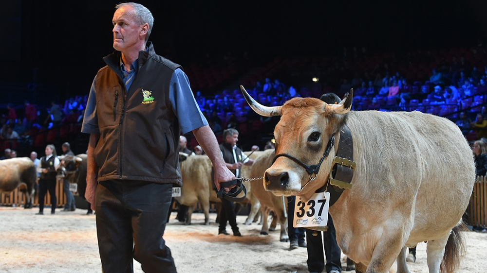 Le Sommet rassemblera 2 000 animaux de 66 races différentes. (©Sommet de l'élevage)