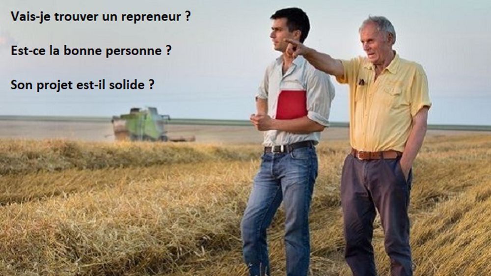 L'objectif de cette réflexion : faire ressortir les points forts et de vigilance des projets des cédants comme de leurs successeurs. (©Budimir Jevtic, Fotolia)