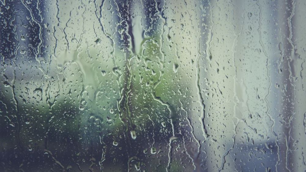 Les pluies et les orages interrompent régulièrement les chantiers de récolte. (©Pixabay)