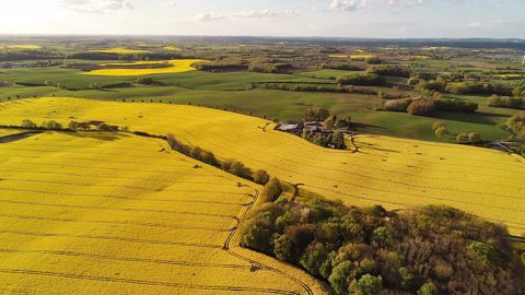 L'offre Colza'Avenir 2022, gratuite pour l'agriculteur, a été construite et testée pour la campagne 2020/21 auprès de 400 agriculteurs sur près de 10 000 ha de colza. (©Pixabay)