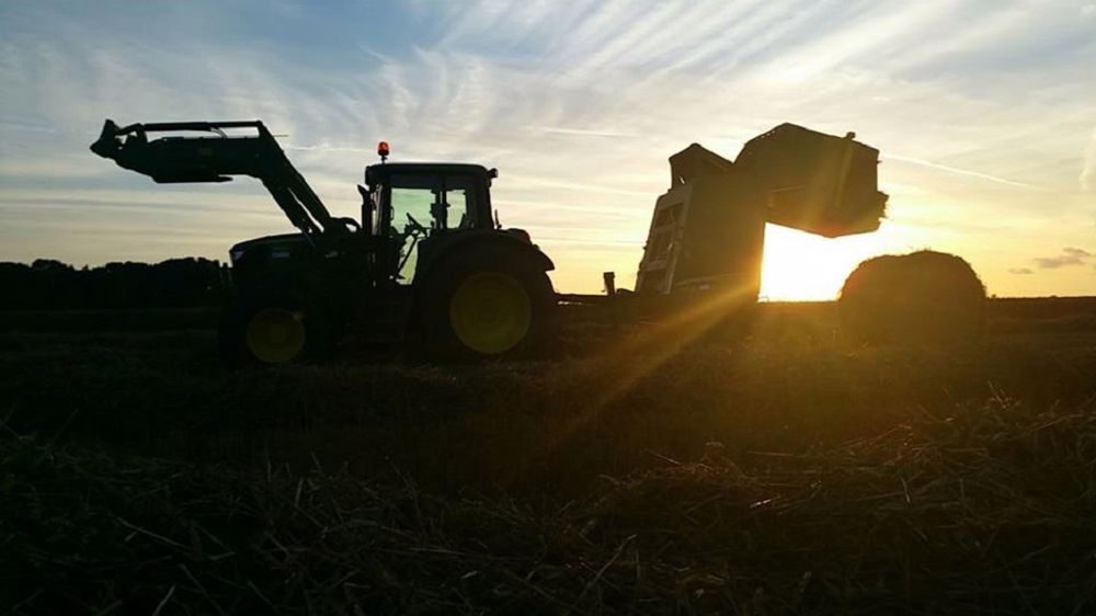 Où en êtes-vous dans la récolte de la paille ? Dites-nous en commentaires. (©Terre-net Média)
