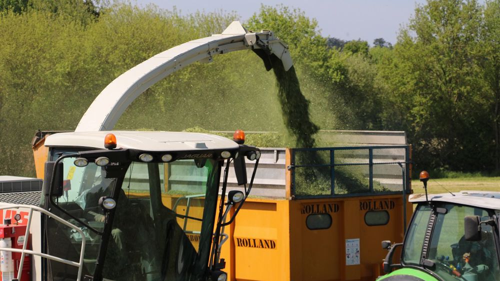 L'objectif : effectuer une première récolte précoce pour allier qualité de fourrage et repousses importantes. (©Terre-net Média)