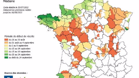 Les premiers ensilages attendus à partir du 26 août
