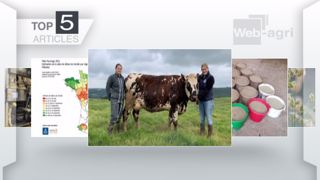 Articles les plus lus sur Web-agri cette semaine. (©Terre-net Média) Articles les plus lus sur Web-agri cette semaine. (©Terre-net Média)