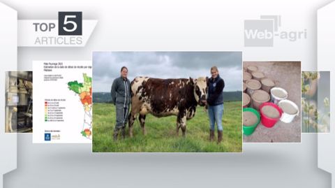 Articles les plus lus sur Web-agri cette semaine. (©Terre-net Média) Articles les plus lus sur Web-agri cette semaine. (©Terre-net Média)