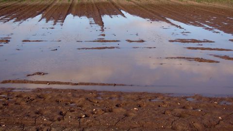 La France a reçu 73 mm de pluie en moyenne nationale, largement plus que les 50 mm de normale. (©Pixabay) La France a reçu 73 mm de pluie en moyenne nationale, largement plus que les 50 mm de normale. (©Pixabay)