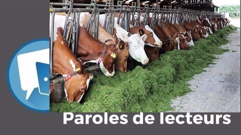 Comme l'année dernière, les fourrages ont nourri les débats sur Web-agri en 2020-2021 ! (©Terre-net Média) Comme l'année dernière, les fourrages ont nourri les débats sur Web-agri en 2020-2021 ! (©Terre-net Média)