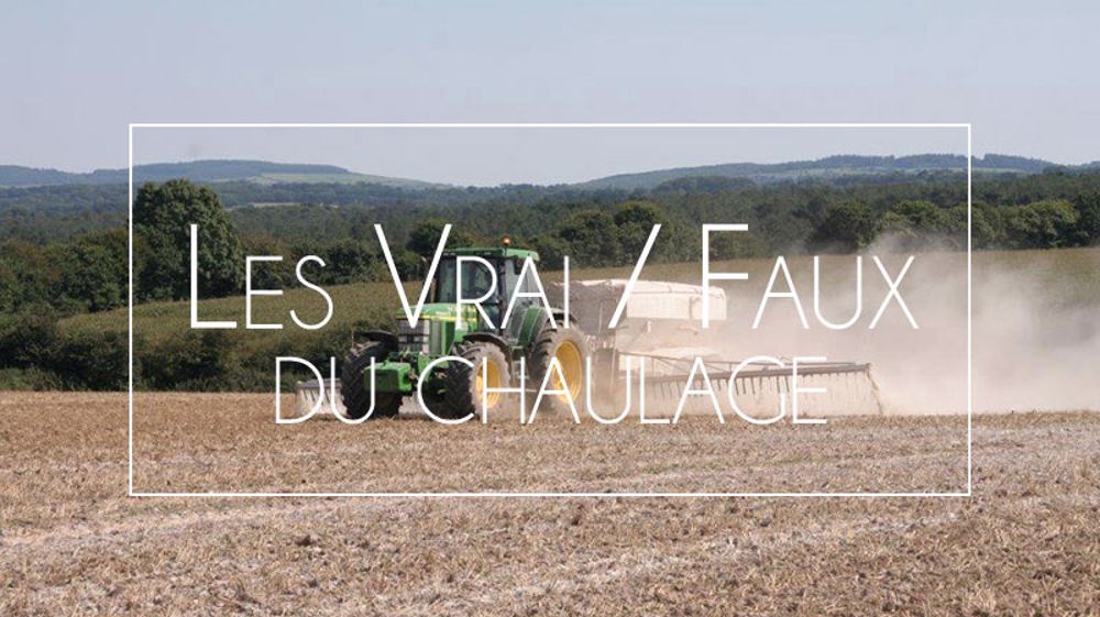 Arvalis fait le point sur quelques idées reçues concernant la pratique du chaulage. (©Arvalis-Institut du végétal)