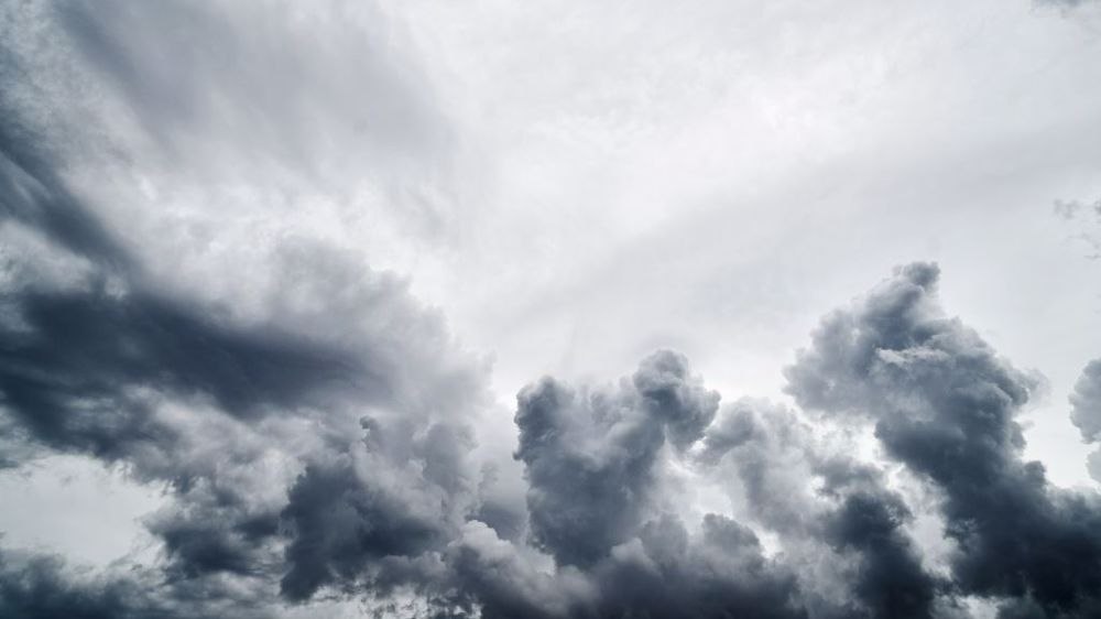 Les pluies incessantes perturbent les chantiers de récolte. (©Pixabay)