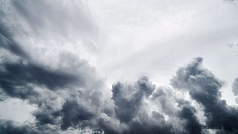 Les pluies incessantes perturbent les chantiers de récolte. (©Pixabay) Les pluies incessantes perturbent les chantiers de récolte. (©Pixabay)